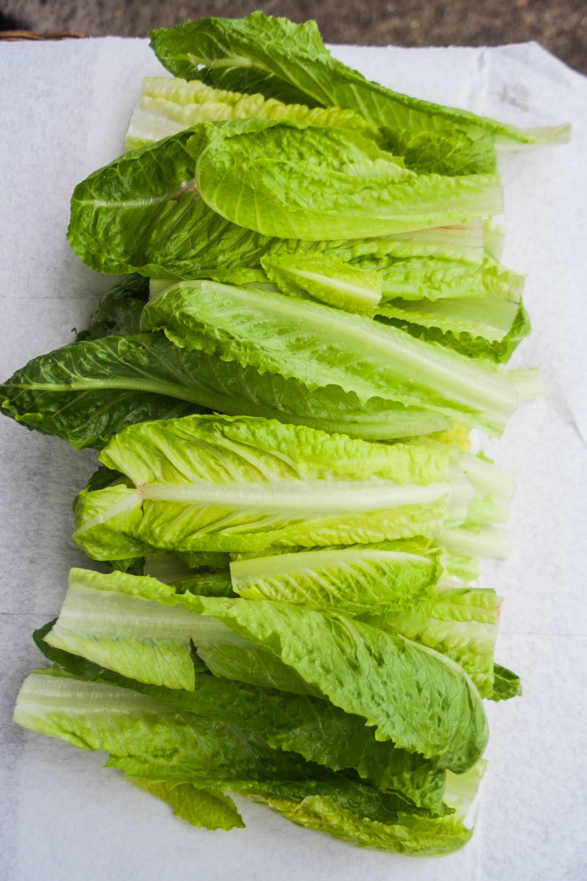 How To Prep Romaine Lettuce To Last All Week Nora Cooks