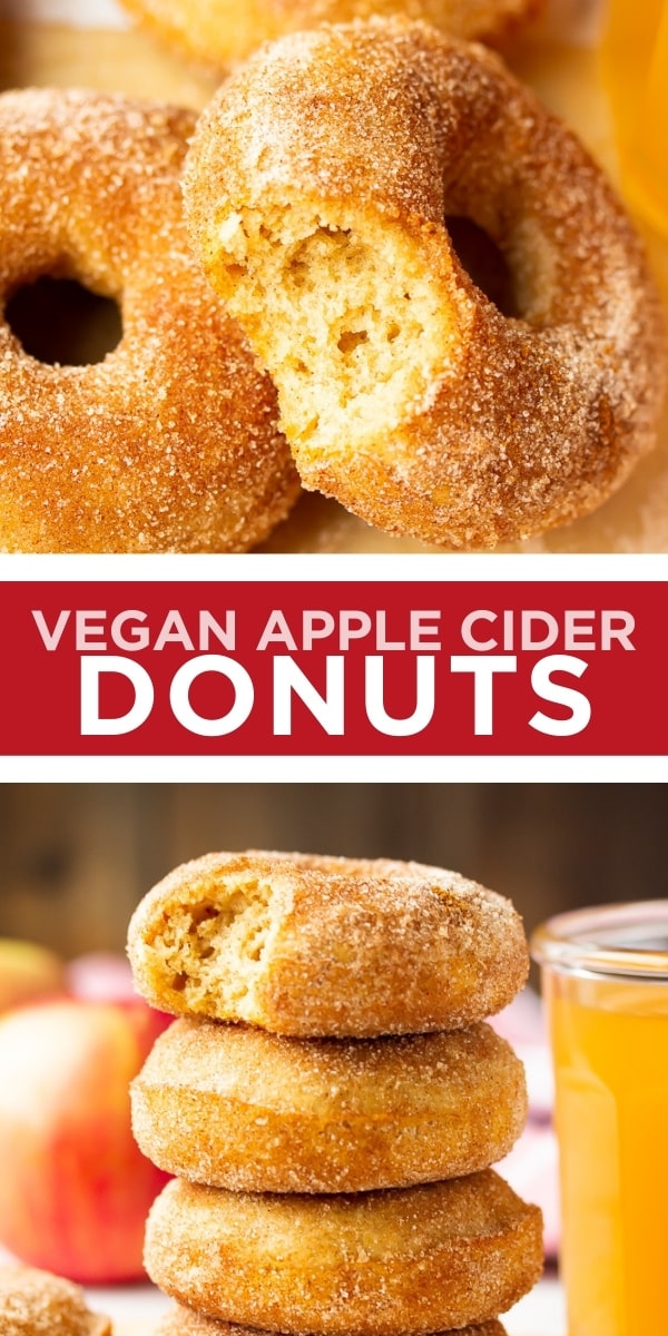 Vegan Apple Cider Donuts - Nora Cooks