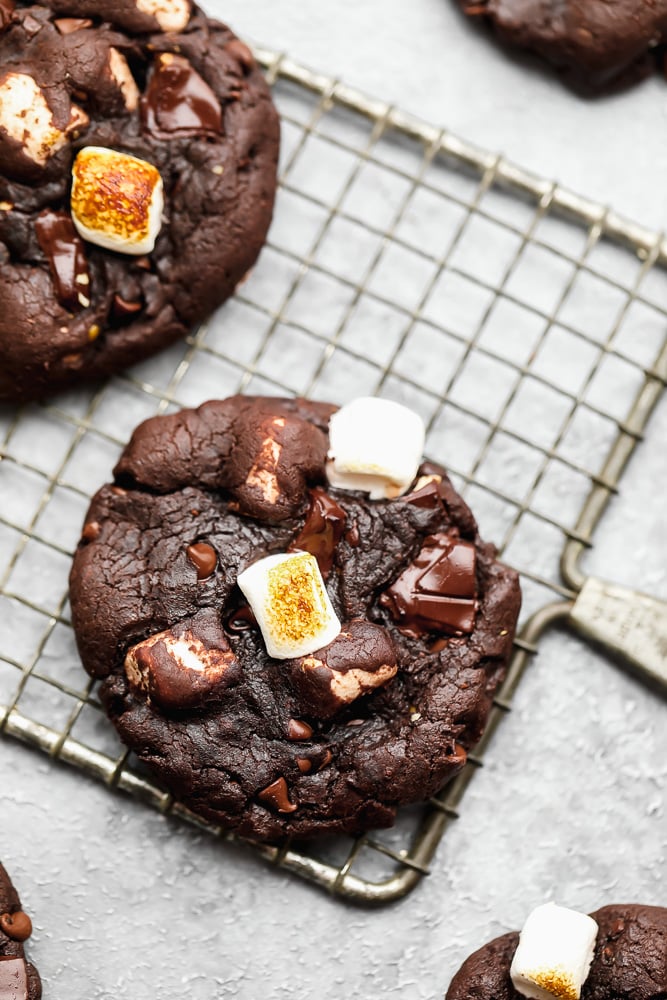 Chocolate Sugar Cookies - Nora Cooks