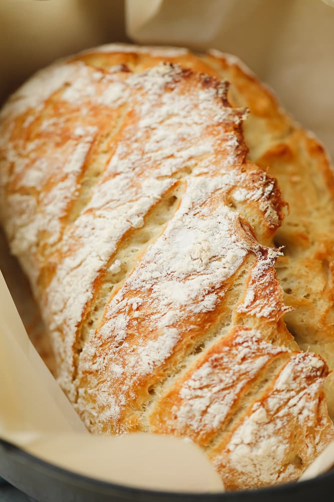 Dutch Oven Bread (no knead!) Recipe - Rachel Cooks®