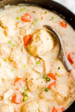 Vegan Chicken And Dumplings - Nora Cooks