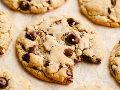 Chocolate Sugar Cookies - Nora Cooks