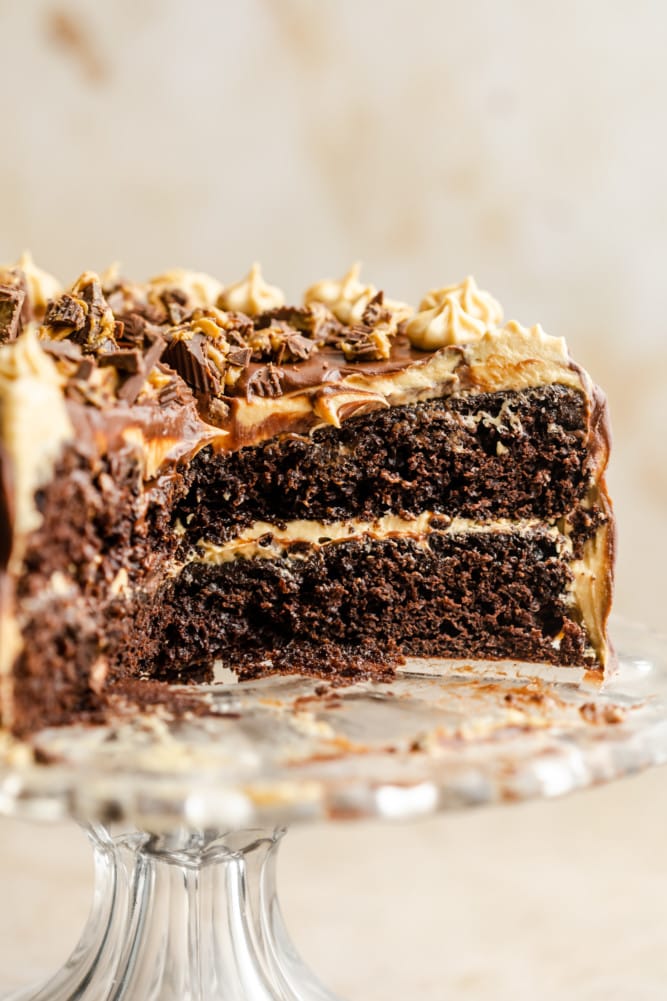 Chocolate Peanut Butter Cake - Nora Cooks