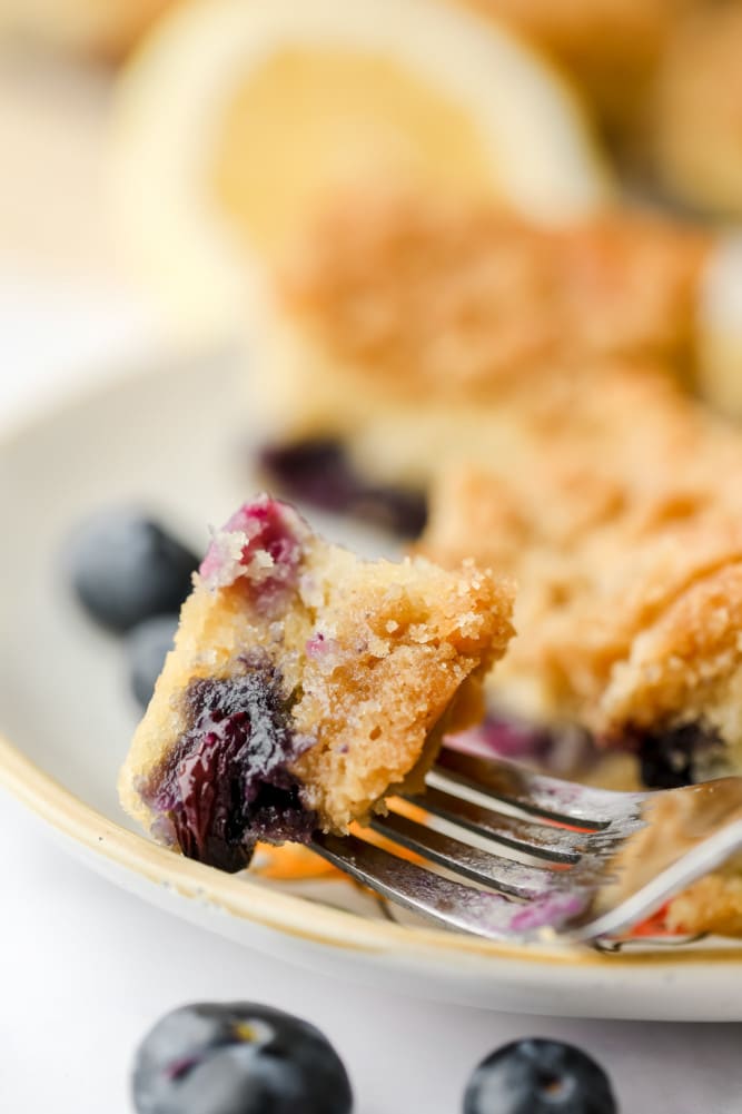 Blueberry Coffee Cake Nora Cooks 2059