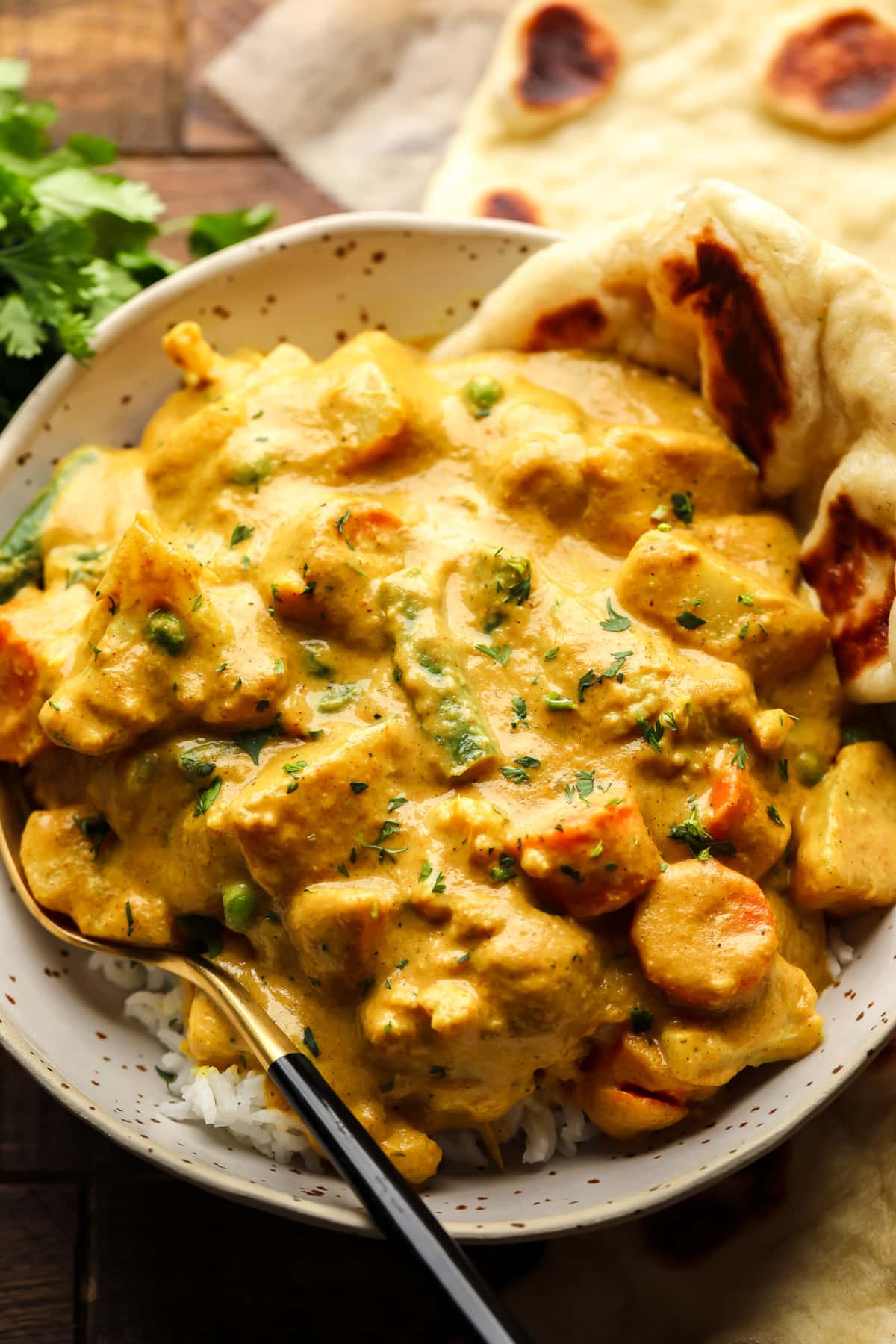 a bowl of vegetable korma with a piece of vegan naan on the side.