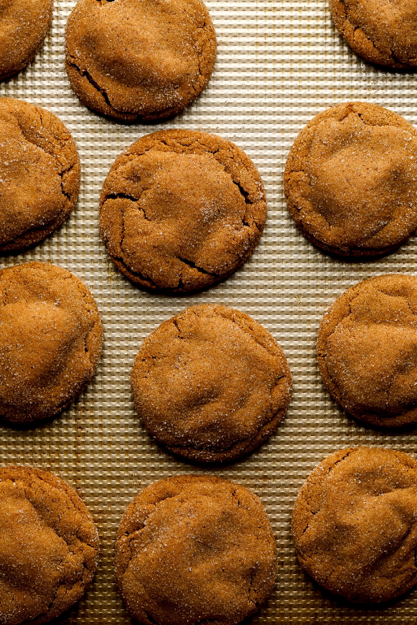 baked gingerbread latte cookies on a metal baking pan.